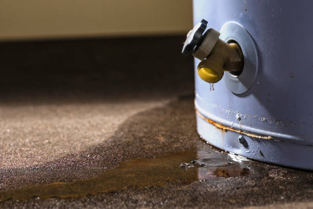  Marshall, WI Water damage restoration Pros