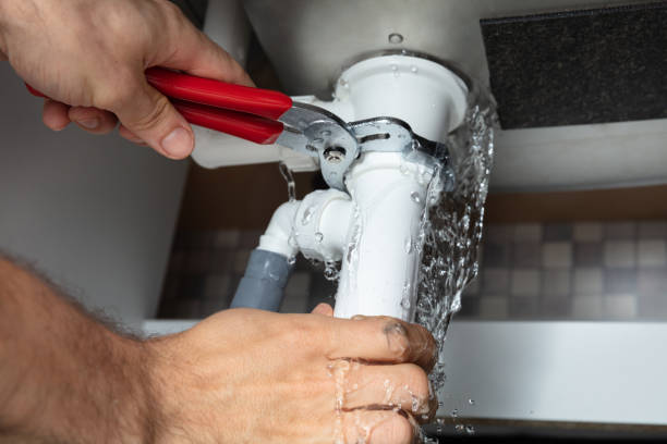 Best Local water damage restoration  in Marshall, WI