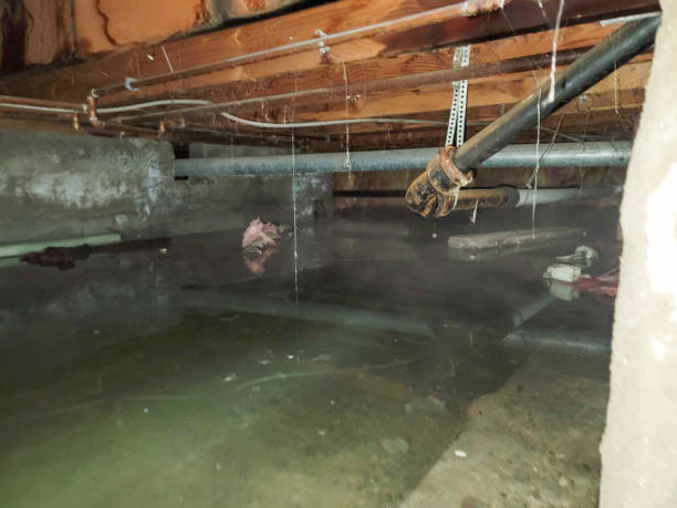 Best Residential water damage restoration  in Marshall, WI