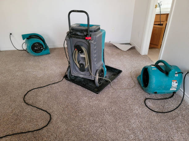 Best Professional water damage repair  in Marshall, WI
