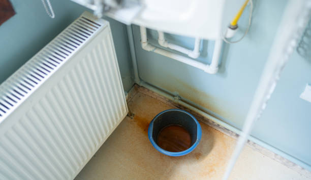 Best Water damage mitigation services  in Marshall, WI
