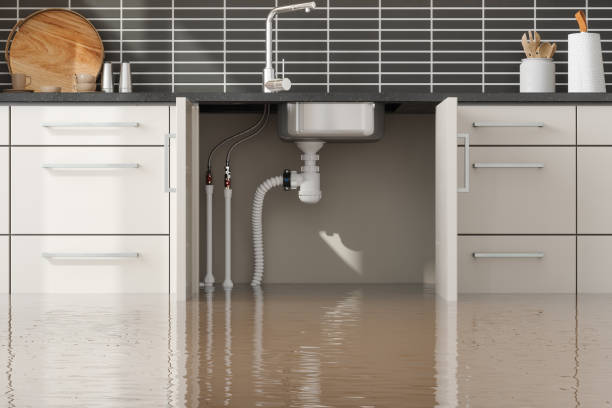Best Residential water damage restoration  in Marshall, WI