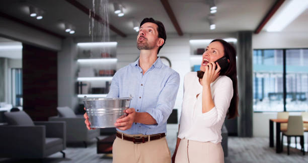 Best Water damage restoration near me  in Marshall, WI