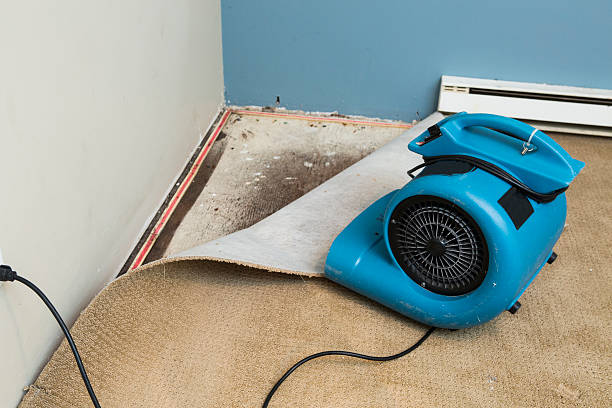 Best 24-hour water damage restoration  in Marshall, WI